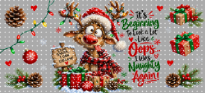 16oz Christmas-S  2673